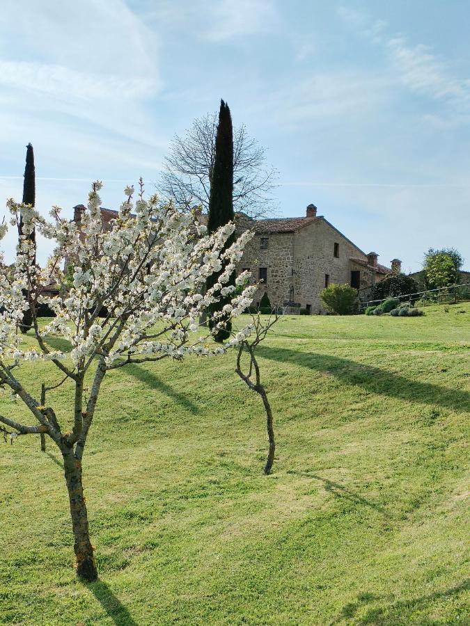 Apartmán Casa Mae Sarteano Exteriér fotografie
